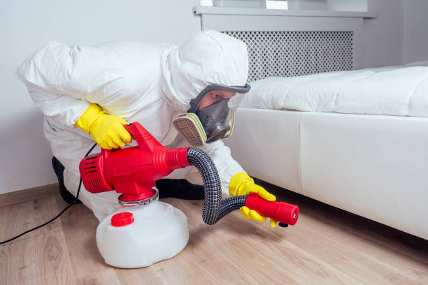 Best Pest Prevention Services  in Untain View, MO